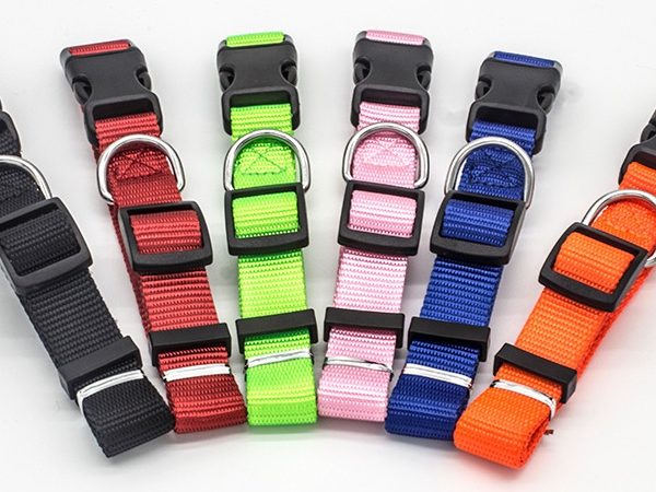 New Pet Collar