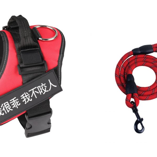 Fashion Simple Pet Leash Chest Strap Set — Red