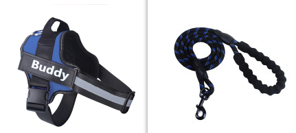 Fashion Simple Pet Leash Chest Strap Set — Blue