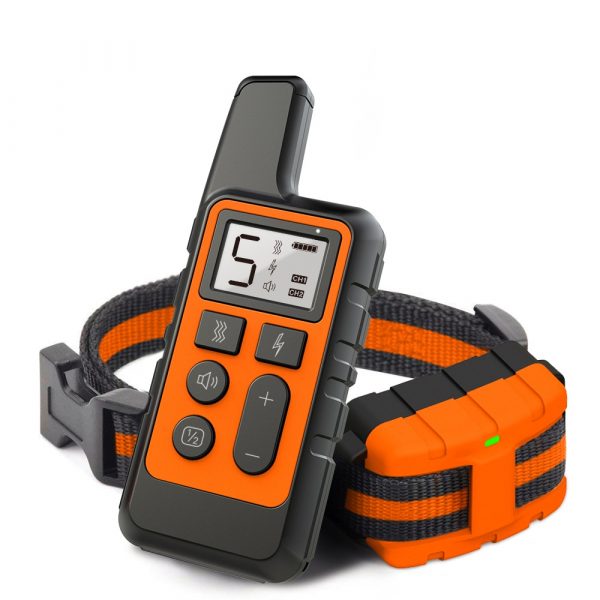 Dog Training Collar — Orange