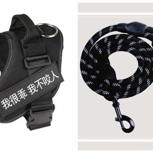 Fashion Simple Pet Leash Chest Strap Set — Black