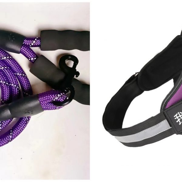 Fashion Simple Pet Leash Chest Strap Set — Purple