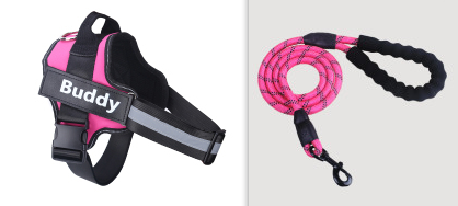 Fashion Simple Pet Leash Chest Strap Set — Pink